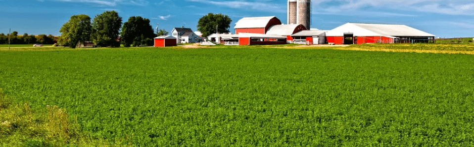 Dutch Craft Mattress craftsmanship